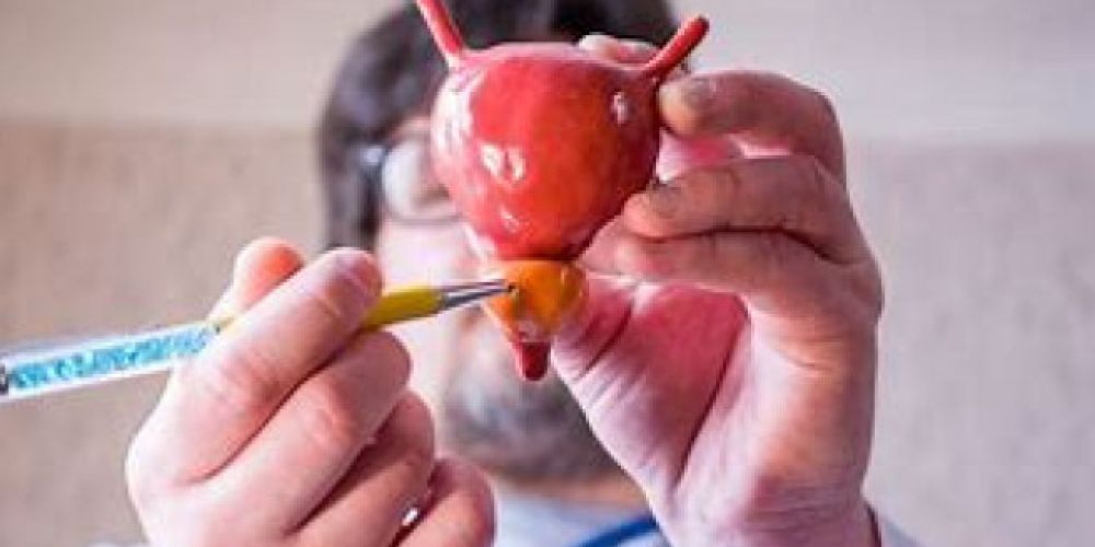 Cefalù Camp for holep Coorso teorico-praitco di chirurgia laser della prostata (HoLEP) live surgery training day Fondazione Istituto "G. Giglio"