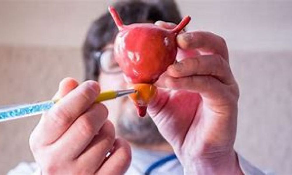 Cefalù Camp for holep Coorso teorico-praitco di chirurgia laser della prostata (HoLEP) live surgery training day Fondazione Istituto "G. Giglio"